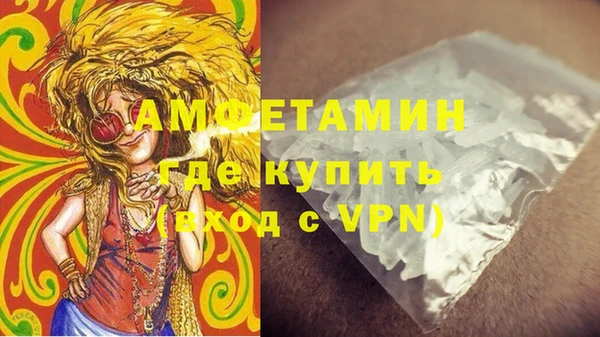ГАЛЛЮЦИНОГЕННЫЕ ГРИБЫ Костерёво
